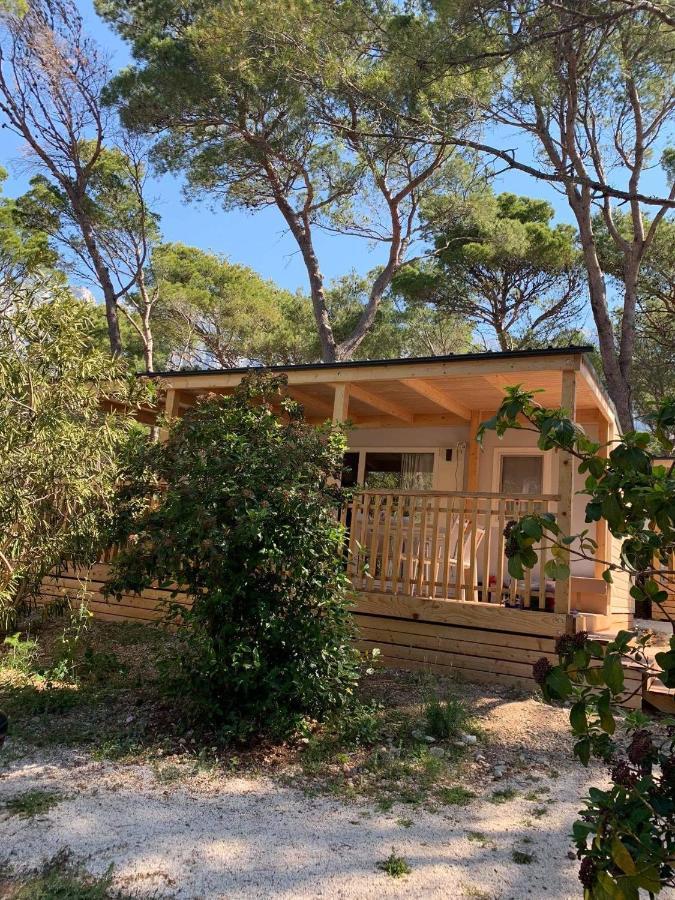 Oaza Mira Mobile Houses - Camp Basko Polje #Bestoffer Baska Voda Exterior photo